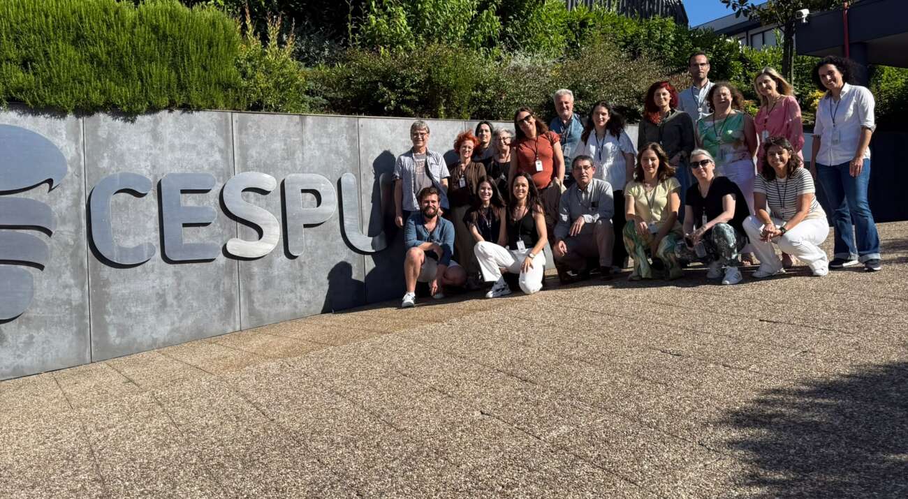 Photo of the Teach-the-Teacher group in Porto, Portugal June 2026