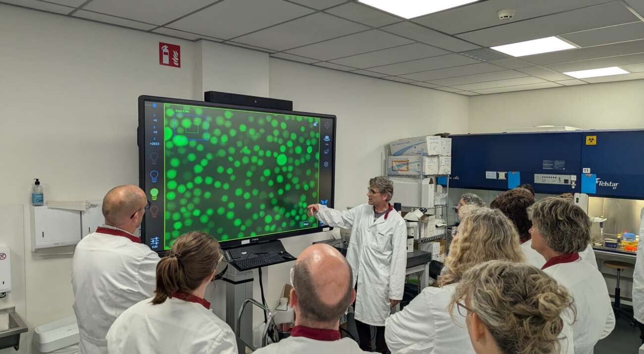 Educators examining fluorescence microscopy results during a Talent-CGT CRISPR Teach-the-Teacher workshop in Leiden, July 2026